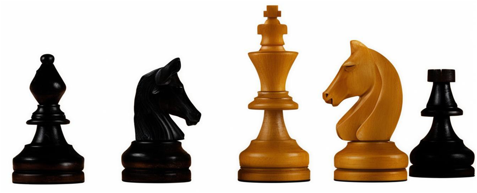 Каждая фигура в шахматах имеет свою уникальную роль и возможности